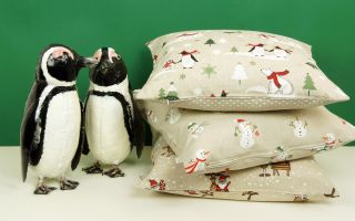 Pinguine mit Freunden